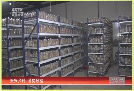 &#24320;&#20803;&#32593;&#31449;&#30331;&#24405;&#20837;&#21475;&#95;&#24320;&#20803;&#65288;&#20013;&#22269;&#65289;